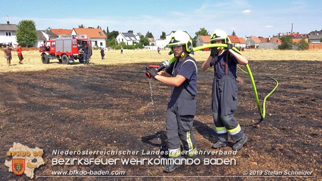 20190720 Größerer Flurbrand in Pfaffstätten Foto: © Stefan Schneider