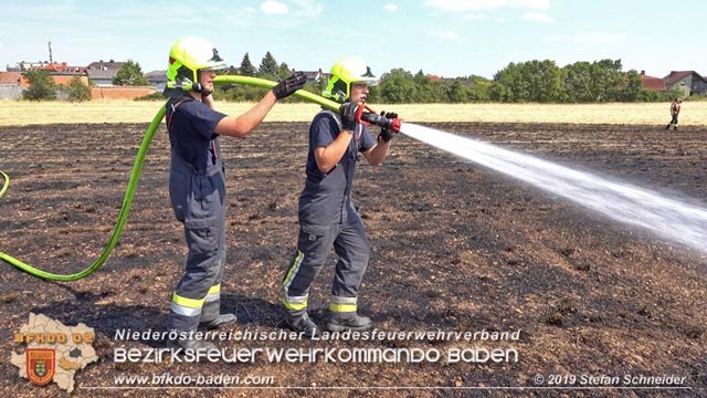 20190720 Größerer Flurbrand in Pfaffstätten Foto: © Stefan Schneider