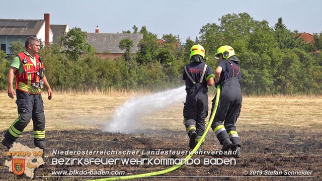 20190720 Größerer Flurbrand in Pfaffstätten Foto: © Stefan Schneider