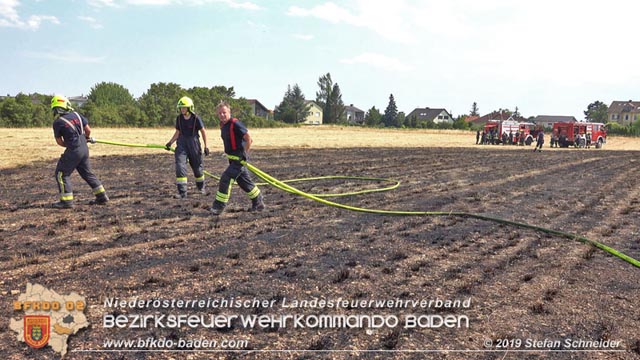 20190720 Größerer Flurbrand in Pfaffstätten Foto: © Stefan Schneider