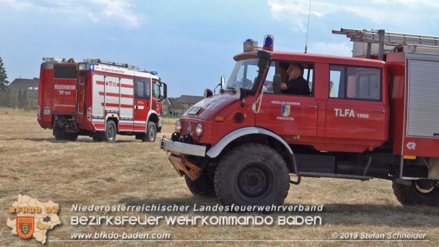 20190720 Größerer Flurbrand in Pfaffstätten Foto: © Stefan Schneider