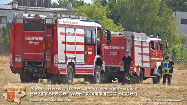 20190720 Größerer Flurbrand in Pfaffstätten Foto: © Stefan Schneider
