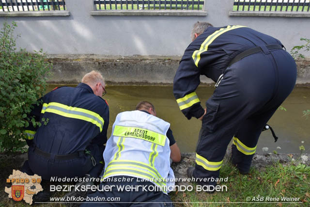 20190818 Gewässerverunreinigung in Unterwaltersdorf  Foto: © ASB Rene Weiner