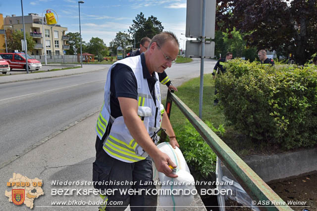20190818 Gewässerverunreinigung in Unterwaltersdorf  Foto: © ASB Rene Weiner
