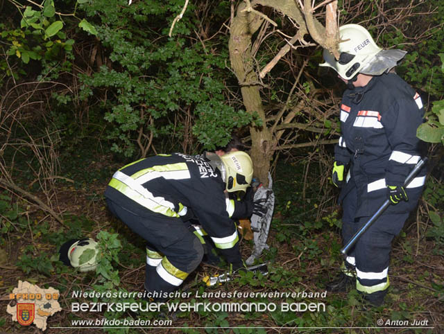 20191006 Fahrzeugbergung in Traiskirchen nachdem sich ein abgestellter Pkw selbstständig machte  Foto: © Anton Judt FF Traiskirchen-Stadt20191006 Fahrzeugbergung in Traiskirchen nachdem sich ein abgestellter Pkw selbstständig machte  Foto: © Anton Judt FF Traiskirchen-Stadt