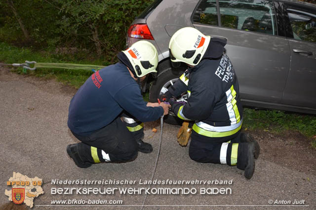 20191006 Fahrzeugbergung in Traiskirchen nachdem sich ein abgestellter Pkw selbstständig machte  Foto: © Anton Judt FF Traiskirchen-Stadt20191006 Fahrzeugbergung in Traiskirchen nachdem sich ein abgestellter Pkw selbstständig machte  Foto: © Anton Judt FF Traiskirchen-Stadt