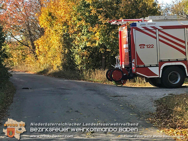 20191026 Pferd mit Vorderfuss im Betonrohr gefangen  Foto: © Freiwillige Feuerwehr Maria Raisenmarkt