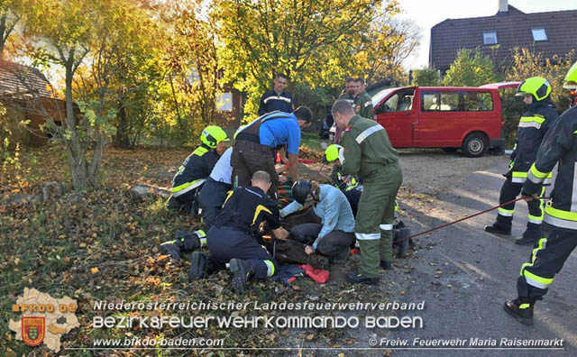 20191026 Pferd mit Vorderfuss im Betonrohr gefangen  Foto: © Freiwillige Feuerwehr Maria Raisenmarkt