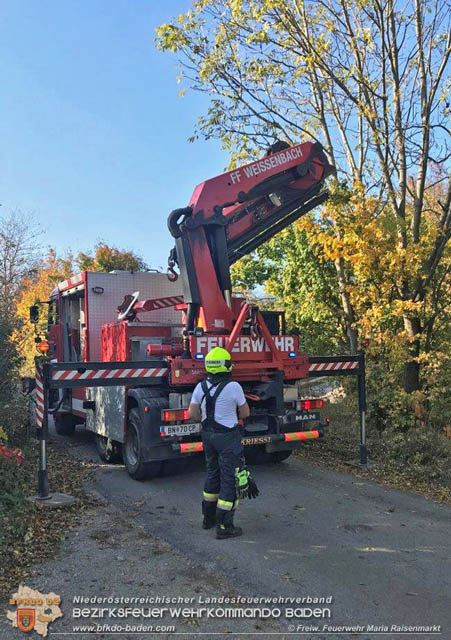 20191026 Pferd mit Vorderfuss im Betonrohr gefangen  Foto: © Freiwillige Feuerwehr Maria Raisenmarkt