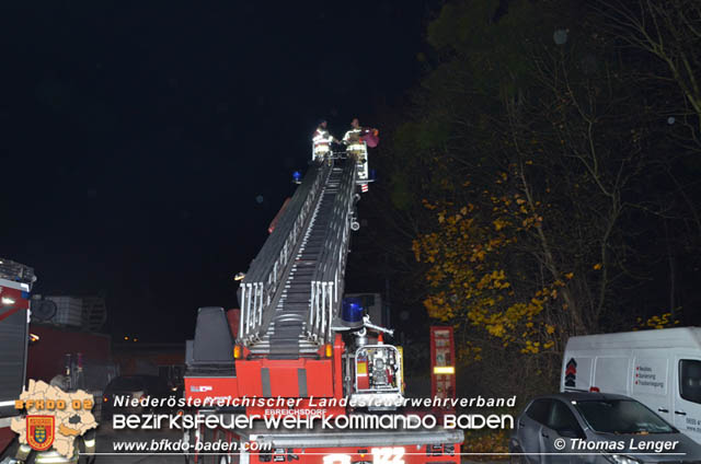 20191126 Maine-Coon-Kater "Simba" von Feuerwehr gerettet!  Foto: © Thomas Lenger Monatsrevue.at