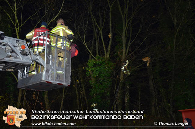 20191126 Maine-Coon-Kater "Simba" von Feuerwehr gerettet!  Foto: © Thomas Lenger Monatsrevue.at