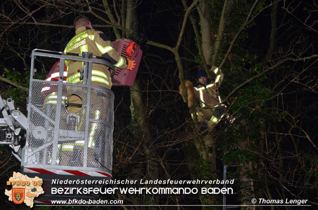 20191126 Maine-Coon-Kater "Simba" von Feuerwehr gerettet!  Foto: © Thomas Lenger Monatsrevue.at