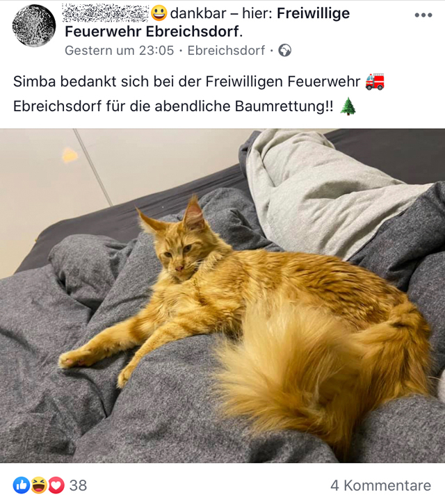 20191126 Maine-Coon-Kater "Simba" von Feuerwehr gerettet!  Foto: © Freiwillige Feuerwehr Ebreichsdorf