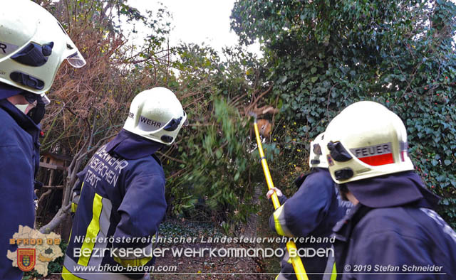 20191225 Sturmschaden in Traiskirchen Foto: © Stefan Schneider 20191225 Sturmschaden in Traiskirchen Foto: © Stefan Schneider