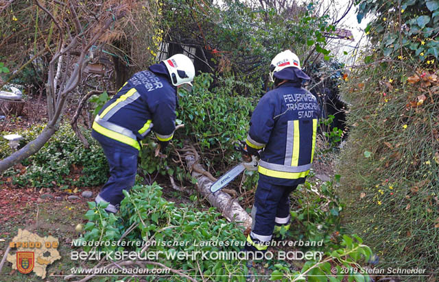 20191225 Sturmschaden in Traiskirchen  Foto: © Stefan Schneider