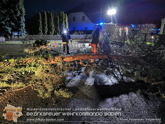 20200204 Strumtief "Petra" ueber Siegenfeld  Foto: FF Siegenfeld