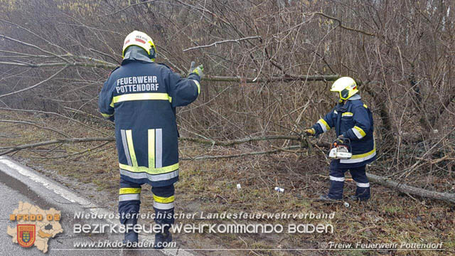 20200204 Strumtief "Petra" ueber Pottendorf  Foto: FF Pottendorf