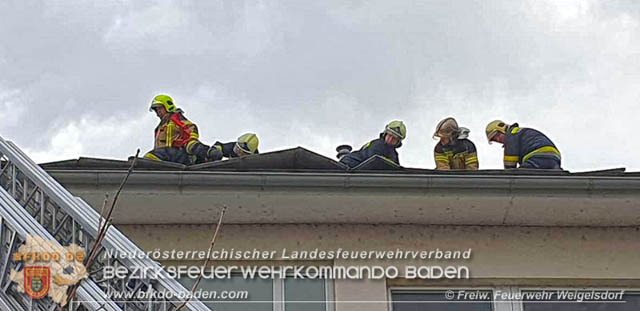 20200204 Strumtief "Petra" ueber Weigelsdorf  Foto: FF Weigelsdorf