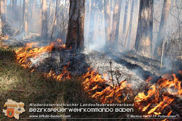 20200218 Waldbrand in Pottenstein Foto: © ASB Markus Hackl 20200218 Waldbrand in Pottenstein Foto: © ASB Markus Hackl