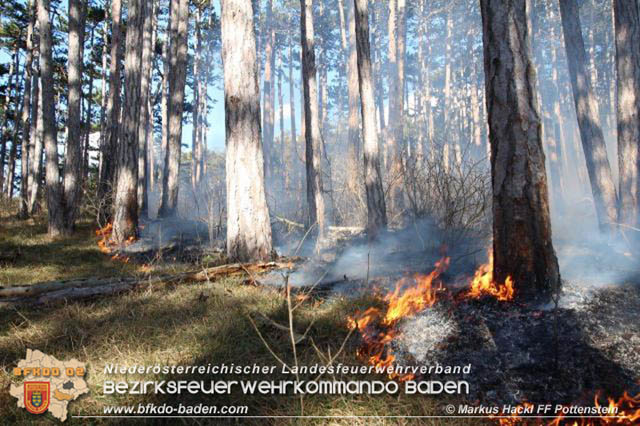 20200218 Waldbrand in Pottenstein Foto: © ASB Markus Hackl 20200218 Waldbrand in Pottenstein Foto: © ASB Markus Hackl