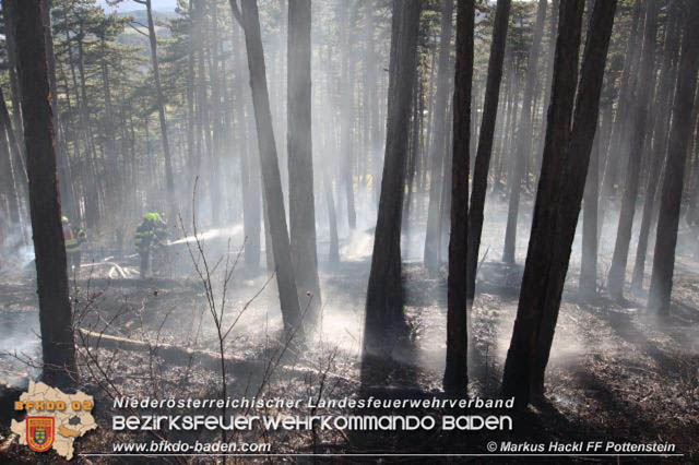 20200218 Waldbrand in Pottenstein Foto: © ASB Markus Hackl 20200218 Waldbrand in Pottenstein Foto: © ASB Markus Hackl