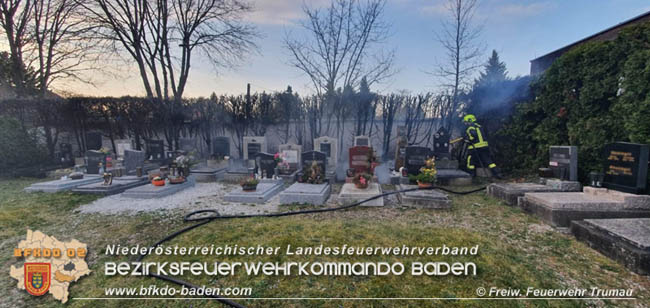 20200319 Brand von mehreren Thujen-Hecken in Trumau   Foto: © Freiwillige Feuerwehr Trumau  