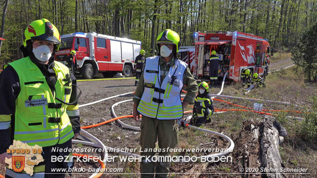 20200420 Brand einer Jagdhütte bei Furth a.d.Triesting  Foto: © Stefan Schneider BFK Baden