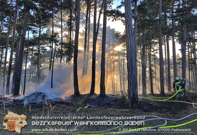 20200422 Waldbrand im Bereich Bezirksgrenze Wopfing (WN) und Alkersdorf (BN)  Foto: © BR DI Rudolf Hafellner AFK Pottenstein