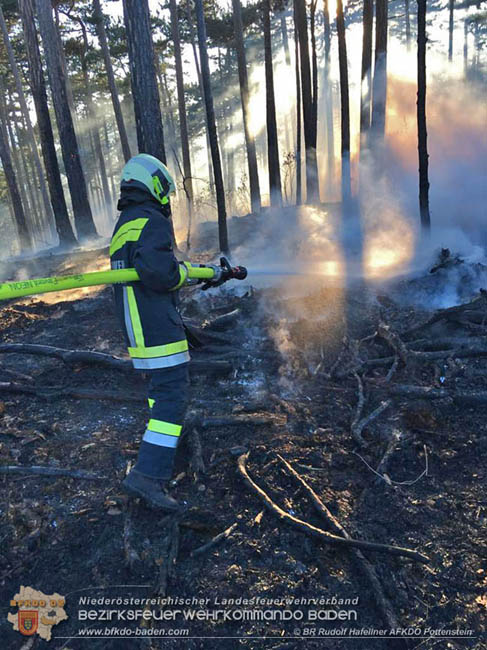 20200422 Waldbrand im Bereich Bezirksgrenze Wopfing (WN) und Alkersdorf (BN)  Foto: © BR DI Rudolf Hafellner AFK Pottenstein