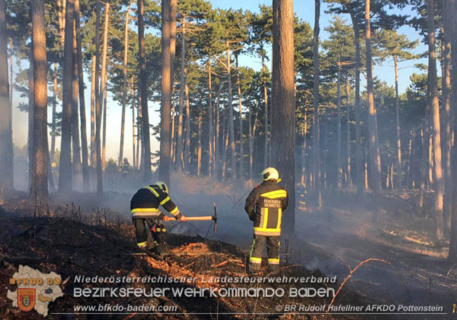 20200422 Waldbrand im Bereich Bezirksgrenze Wopfing (WN) und Alkersdorf (BN)  Foto: © BR DI Rudolf Hafellner AFK Pottenstein