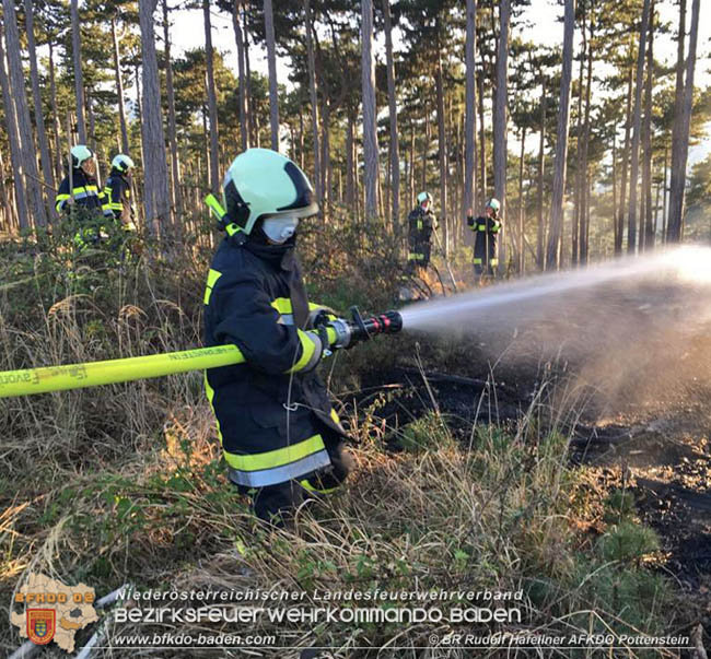 20200422 Waldbrand im Bereich Bezirksgrenze Wopfing (WN) und Alkersdorf (BN)  Foto: © BR DI Rudolf Hafellner AFK Pottenstein