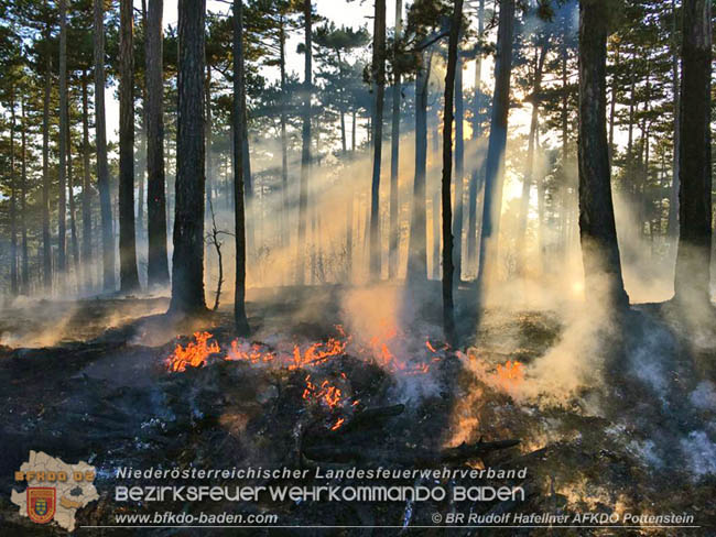 20200422 Waldbrand im Bereich Bezirksgrenze Wopfing (WN) und Alkersdorf (BN)  Foto: © BR DI Rudolf Hafellner AFK Pottenstein