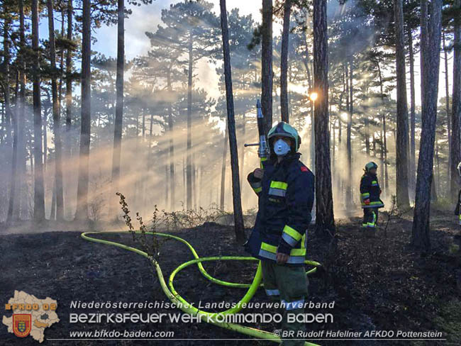 20200422 Waldbrand im Bereich Bezirksgrenze Wopfing (WN) und Alkersdorf (BN)  Foto: © BR DI Rudolf Hafellner AFK Pottenstein