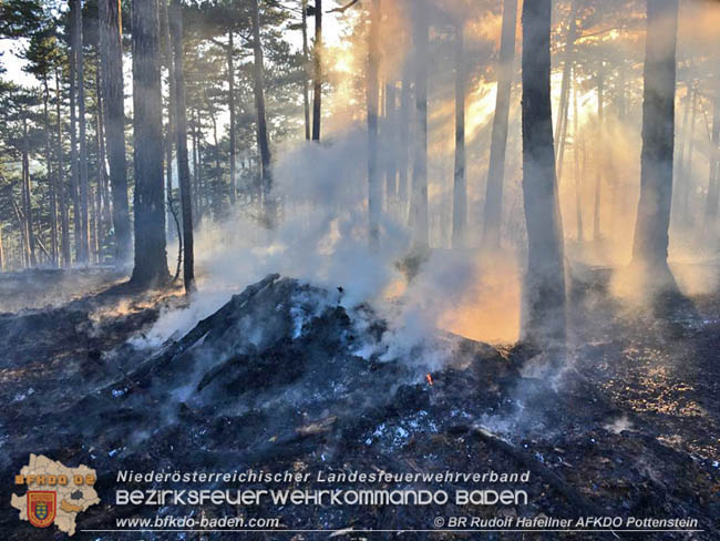 20200422 Waldbrand im Bereich Bezirksgrenze Wopfing (WN) und Alkersdorf (BN)  Foto: © BR DI Rudolf Hafellner AFK Pottenstein