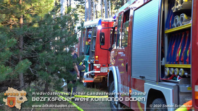 20200422 Waldbrand im Bereich Bezirksgrenze Wopfing (WN) und Alkersdorf (BN)  Foto: © Stefan Schneider BFK Baden