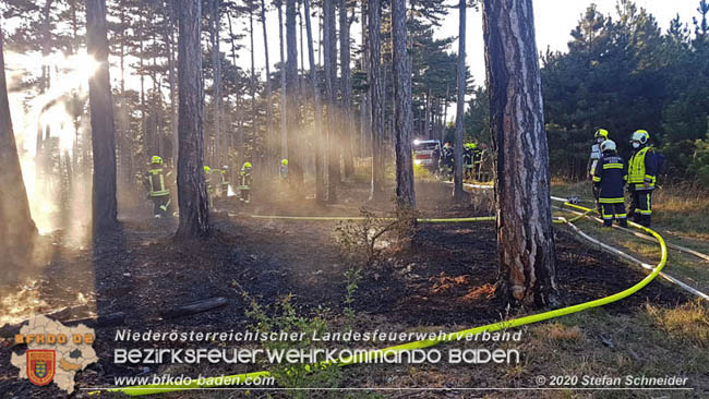20200422 Waldbrand im Bereich Bezirksgrenze Wopfing (WN) und Alkersdorf (BN)  Foto: © Stefan Schneider BFK Baden