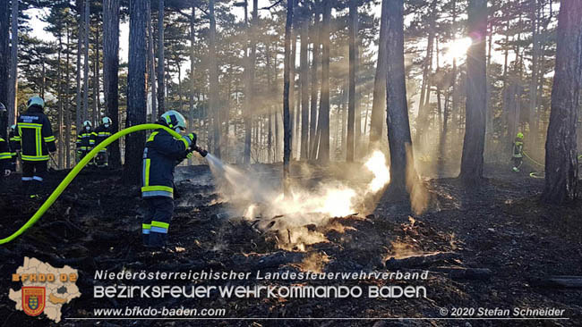 20200422 Waldbrand im Bereich Bezirksgrenze Wopfing (WN) und Alkersdorf (BN)  Foto: © Stefan Schneider BFK Baden
