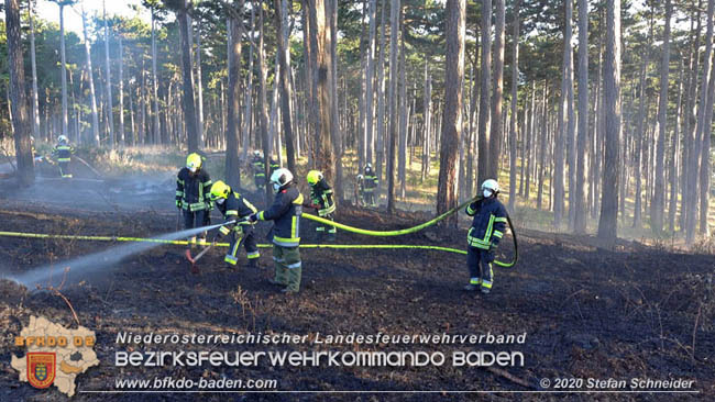 20200422 Waldbrand im Bereich Bezirksgrenze Wopfing (WN) und Alkersdorf (BN)  Foto: © Stefan Schneider BFK Baden