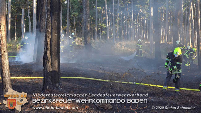 20200422 Waldbrand im Bereich Bezirksgrenze Wopfing (WN) und Alkersdorf (BN)  Foto: © Stefan Schneider BFK Baden