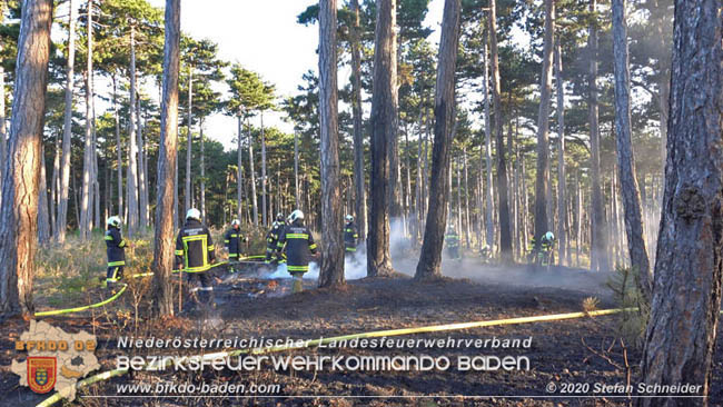 20200422 Waldbrand im Bereich Bezirksgrenze Wopfing (WN) und Alkersdorf (BN)  Foto: © Stefan Schneider BFK Baden