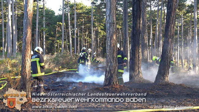 20200422 Waldbrand im Bereich Bezirksgrenze Wopfing (WN) und Alkersdorf (BN)  Foto: © Stefan Schneider BFK Baden