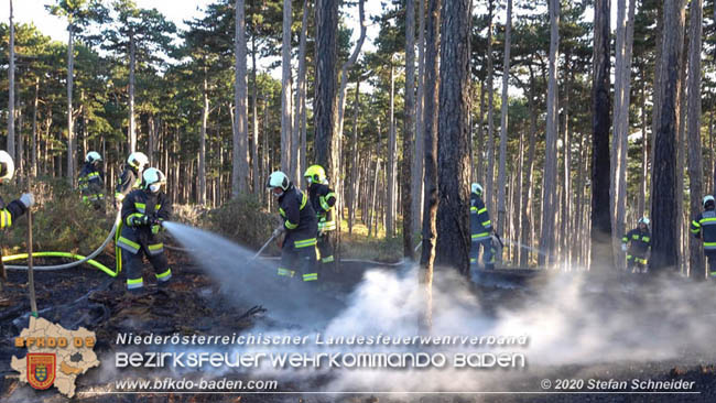 20200422 Waldbrand im Bereich Bezirksgrenze Wopfing (WN) und Alkersdorf (BN)  Foto: © Stefan Schneider BFK Baden