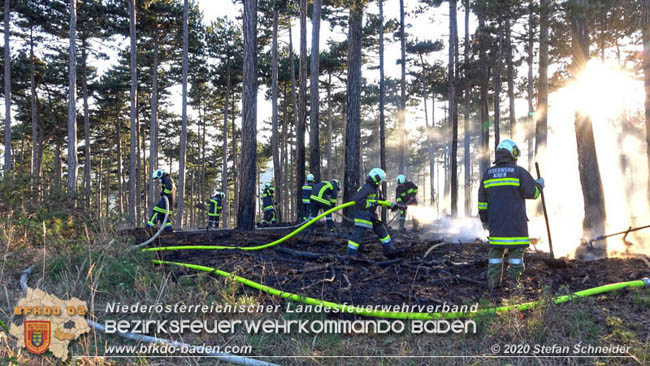 20200422 Waldbrand im Bereich Bezirksgrenze Wopfing (WN) und Alkersdorf (BN)  Foto: © Stefan Schneider BFK Baden