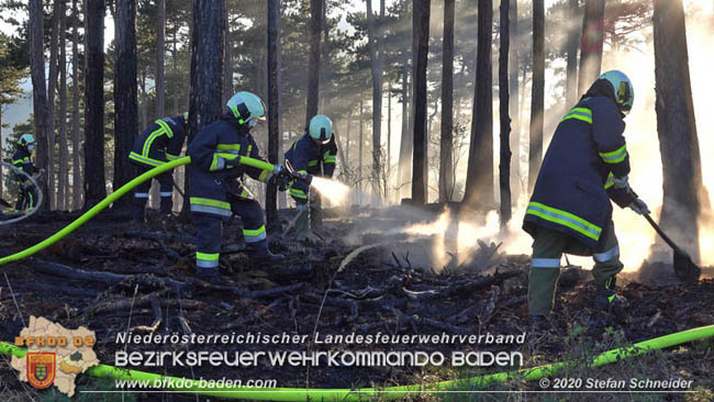 20200422 Waldbrand im Bereich Bezirksgrenze Wopfing (WN) und Alkersdorf (BN)  Foto: © Stefan Schneider BFK Baden