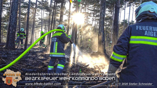 20200422 Waldbrand im Bereich Bezirksgrenze Wopfing (WN) und Alkersdorf (BN)  Foto: © Stefan Schneider BFK Baden
