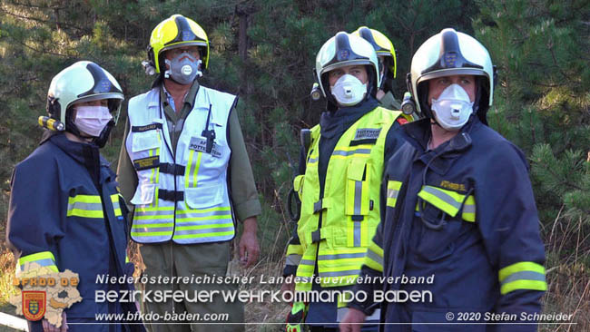 20200422 Waldbrand im Bereich Bezirksgrenze Wopfing (WN) und Alkersdorf (BN)  Foto: © Stefan Schneider BFK Baden