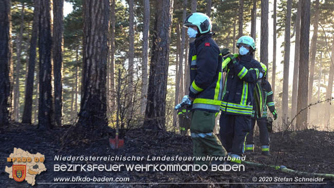 20200422 Waldbrand im Bereich Bezirksgrenze Wopfing (WN) und Alkersdorf (BN)  Foto: © Stefan Schneider BFK Baden