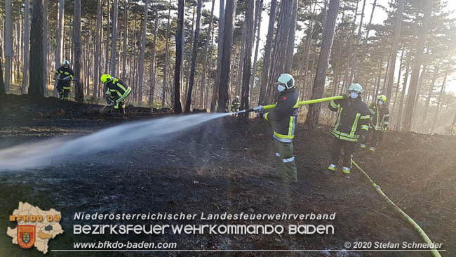 20200422 Waldbrand im Bereich Bezirksgrenze Wopfing (WN) und Alkersdorf (BN)  Foto: © Stefan Schneider BFK Baden