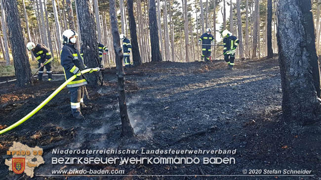 20200422 Waldbrand im Bereich Bezirksgrenze Wopfing (WN) und Alkersdorf (BN)  Foto: © Stefan Schneider BFK Baden