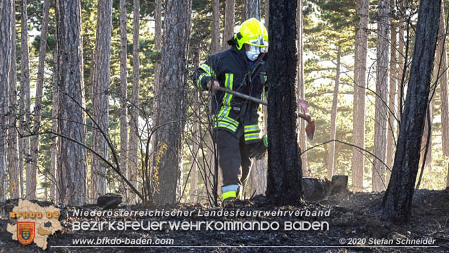 20200422 Waldbrand im Bereich Bezirksgrenze Wopfing (WN) und Alkersdorf (BN)  Foto: © Stefan Schneider BFK Baden